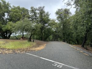 lake oroville lime saddle campground site 36